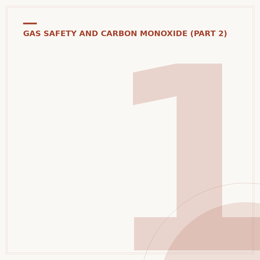 10 Year Carbon Monoxide Alarm