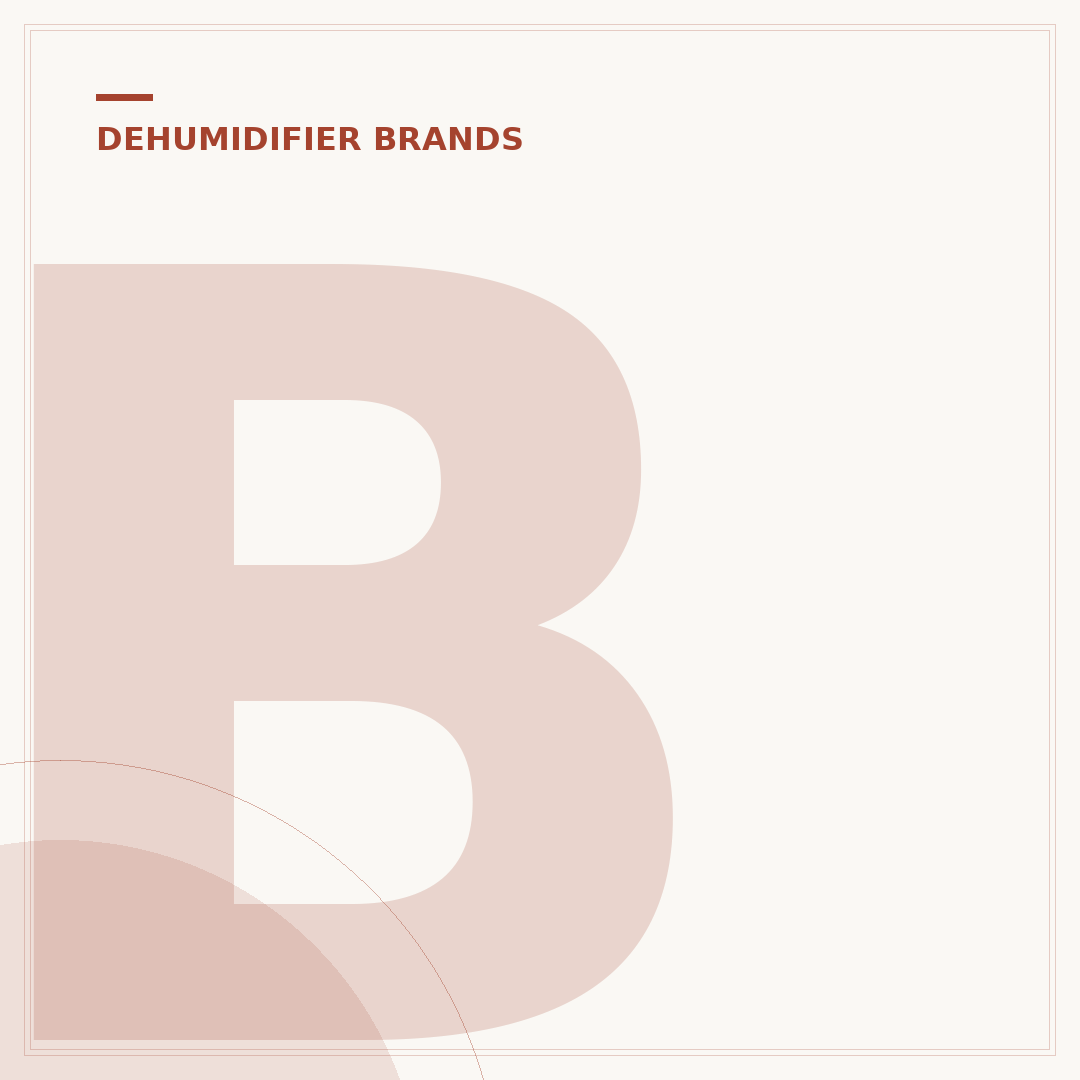 Blyss Dehumidifier: Affordable Moisture Control