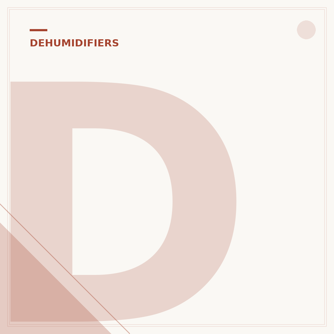 Dyson Dehumidifier Benefits Explained