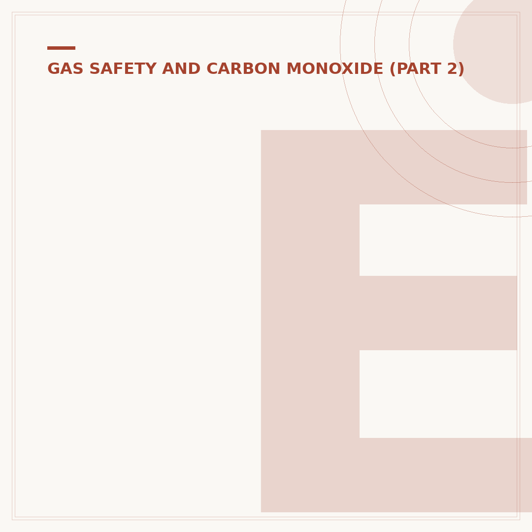 Ei204EN Carbon Monoxide Alarm: What You Need To Know