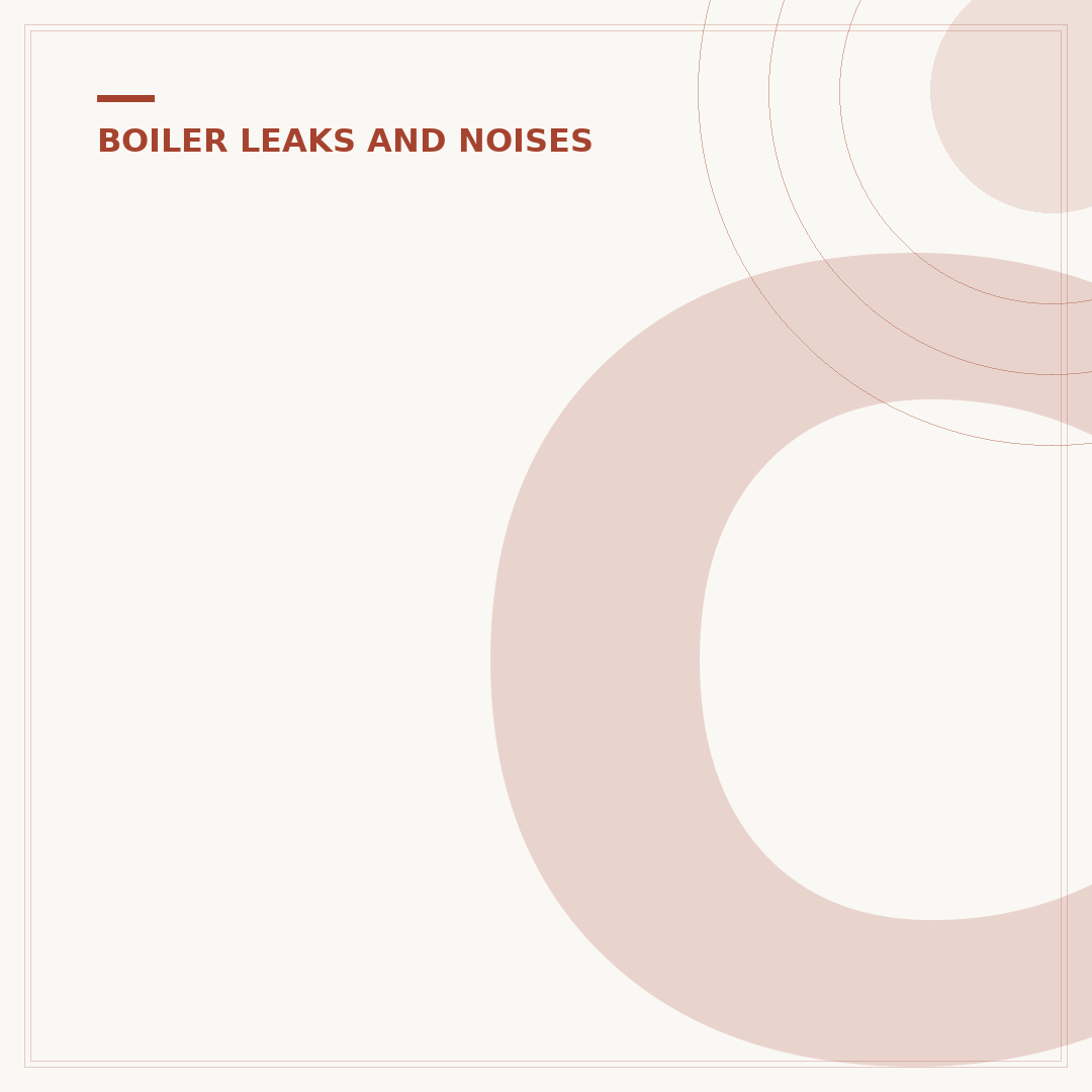 Can Elec-Tric Boilers Leak?