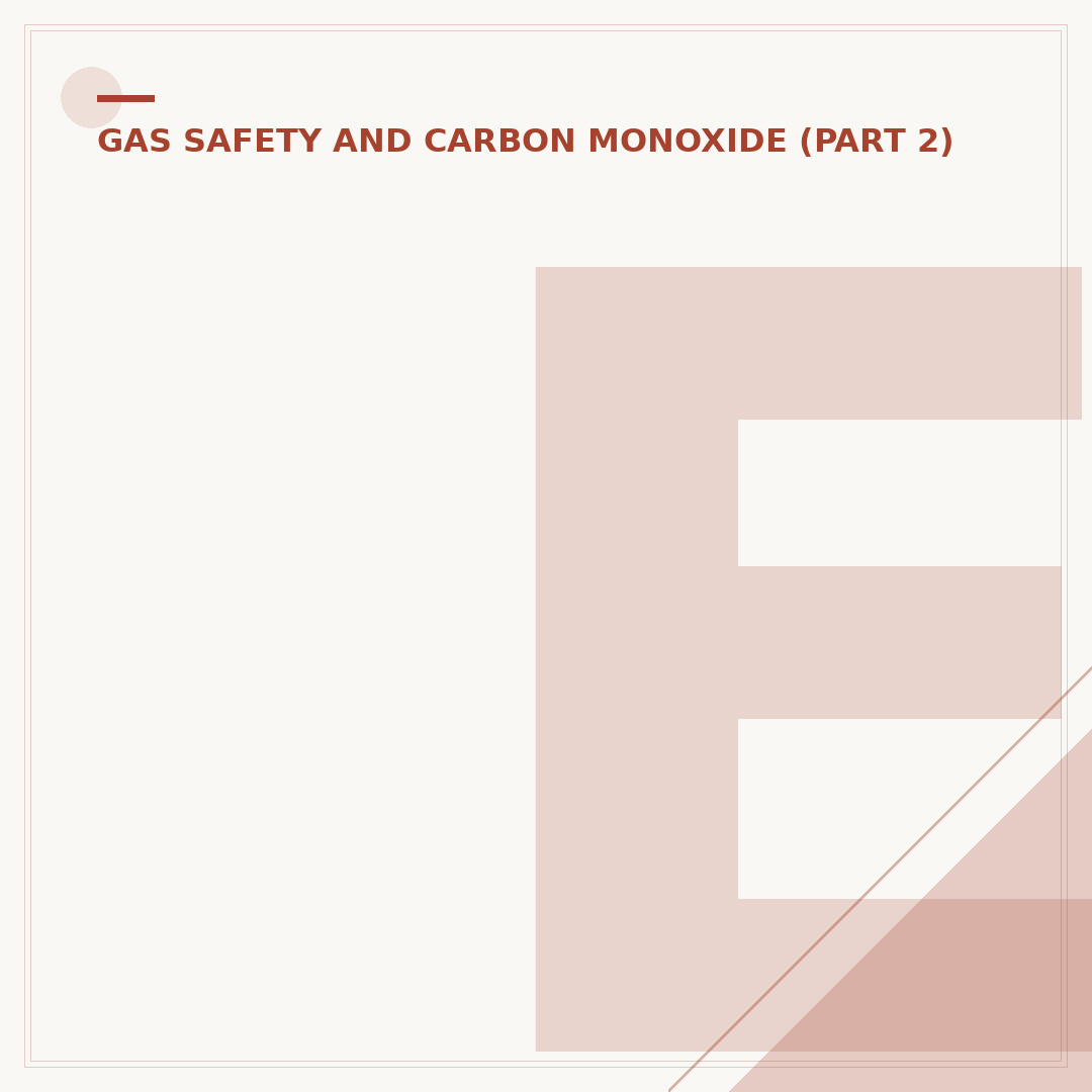 Energizer Carbon Monoxide Alarm