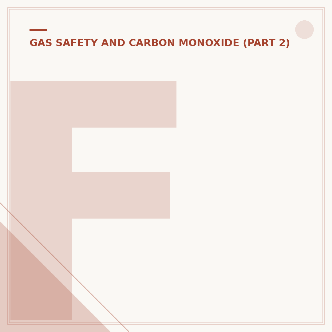 Fire Angel CO 9B Carbon Monoxide Alarm Explained
