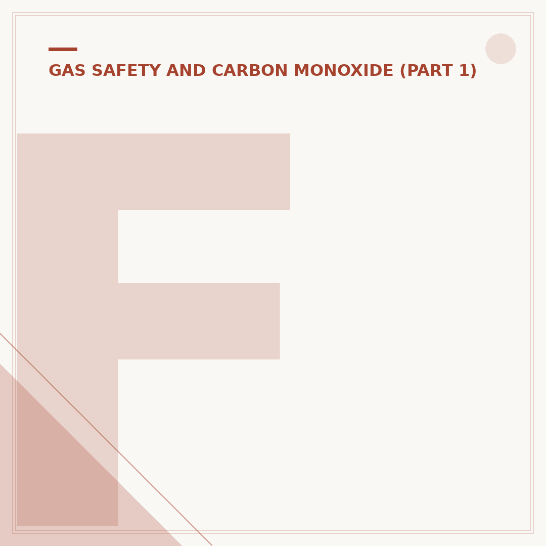 First Alert Carbon Monoxide Alarm: Stay Safe