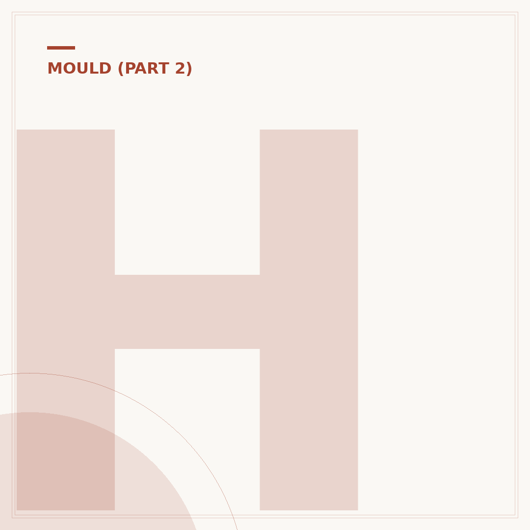 How to Get Rid of Black Mould in Bathroom