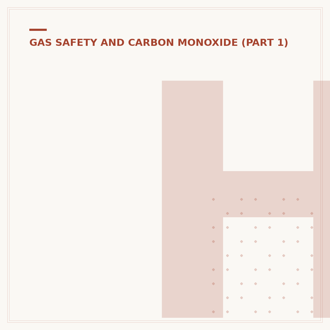 Hi Spec Carbon Monoxide Alarms: What You Need