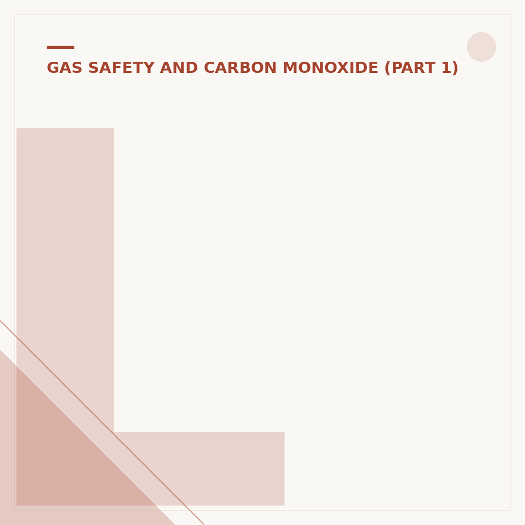 Lifesaver Carbon Monoxide Alarm Model 5CO Explained