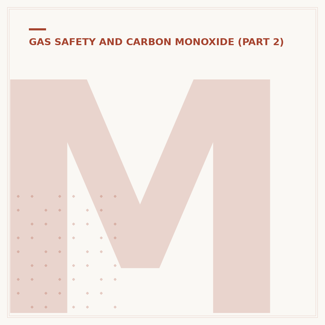 Mains Operated Carbon Monoxide Detector: Safety First