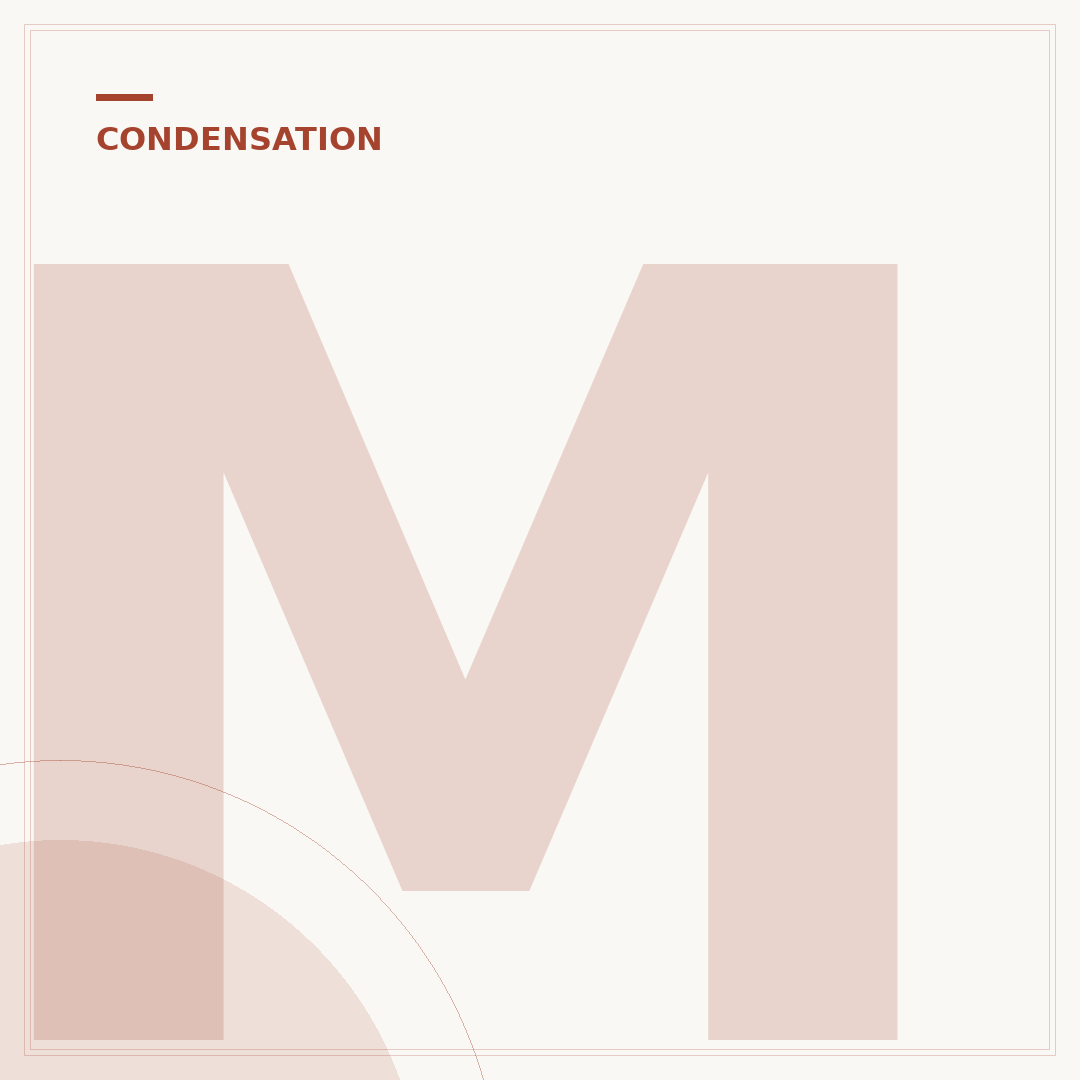 Mold on Windows from Condensation: Stop It Now