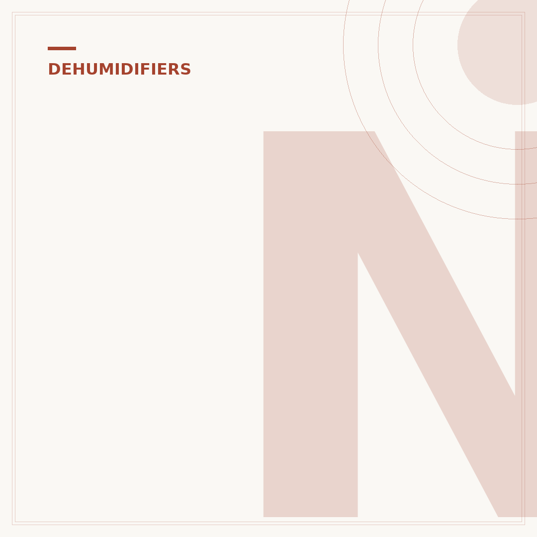 Non Electric Dehumidifier: Affordable Moisture Control