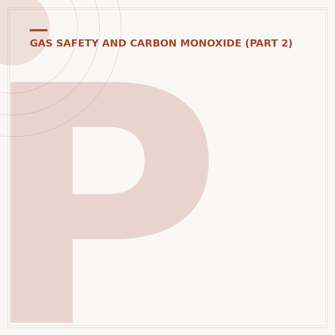 Pace Sensors Carbon Monoxide Alarm: Safety & Affordability