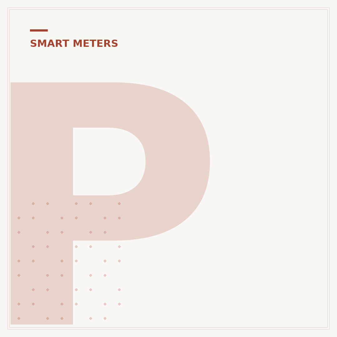 PAYG Smart Meter