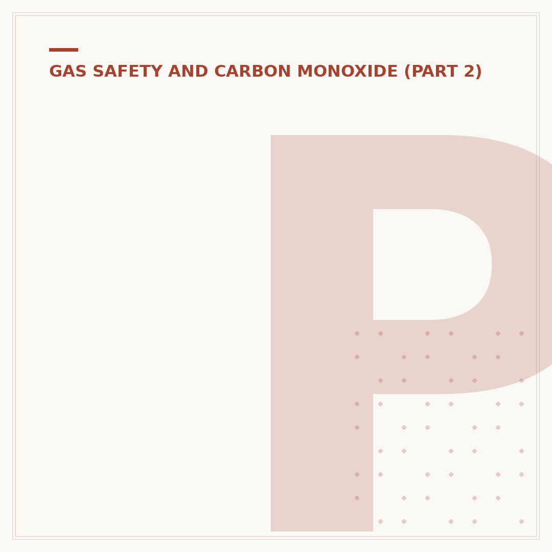 Pifco Carbon Monoxide Alarms: Safety & Value