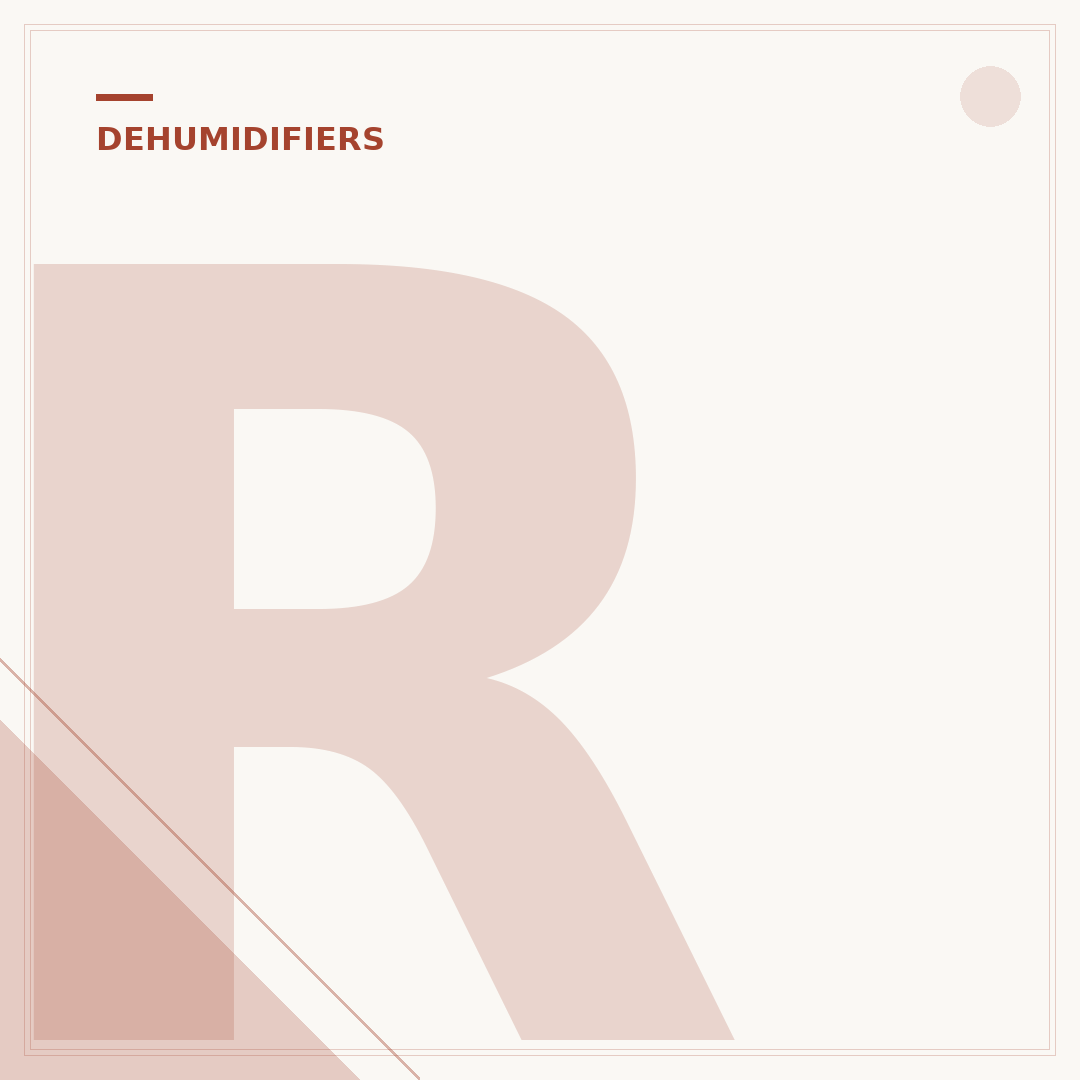 Rent a Dehumidifier UK: Solve Damp & Mould Issues