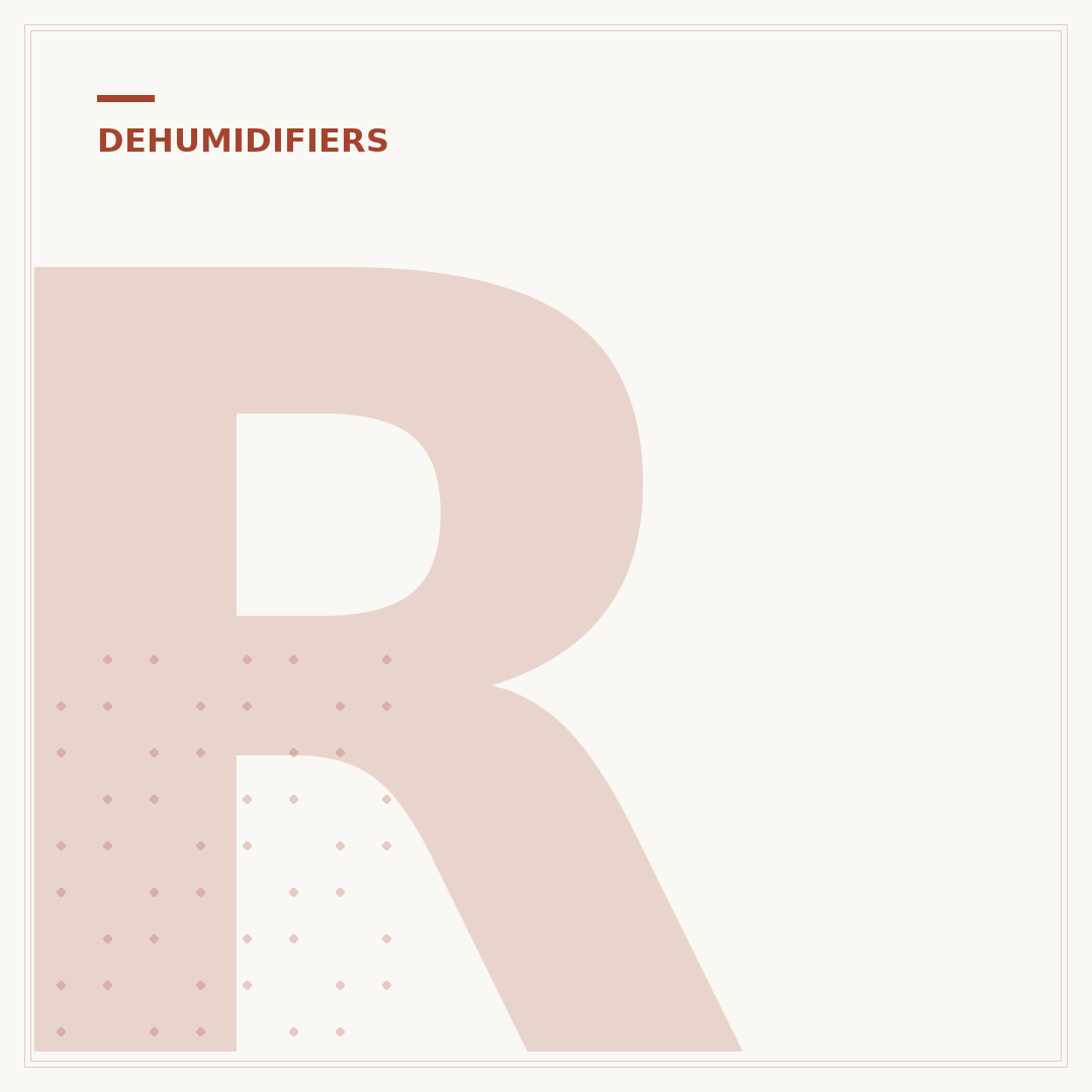 Reusable Dehumidifier: Save Money & Space