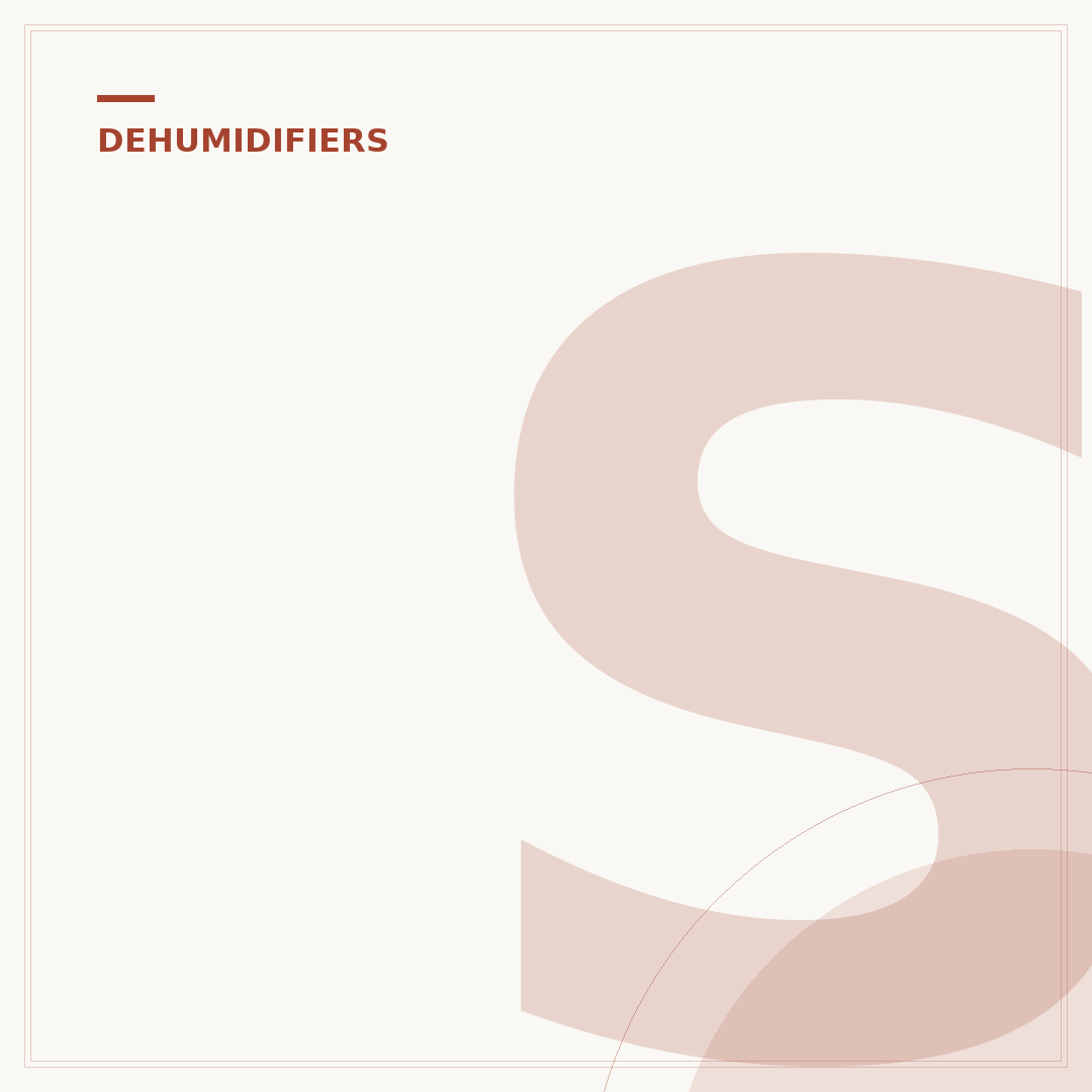Small Dehumidifier: Tackle Dampness Affordably
