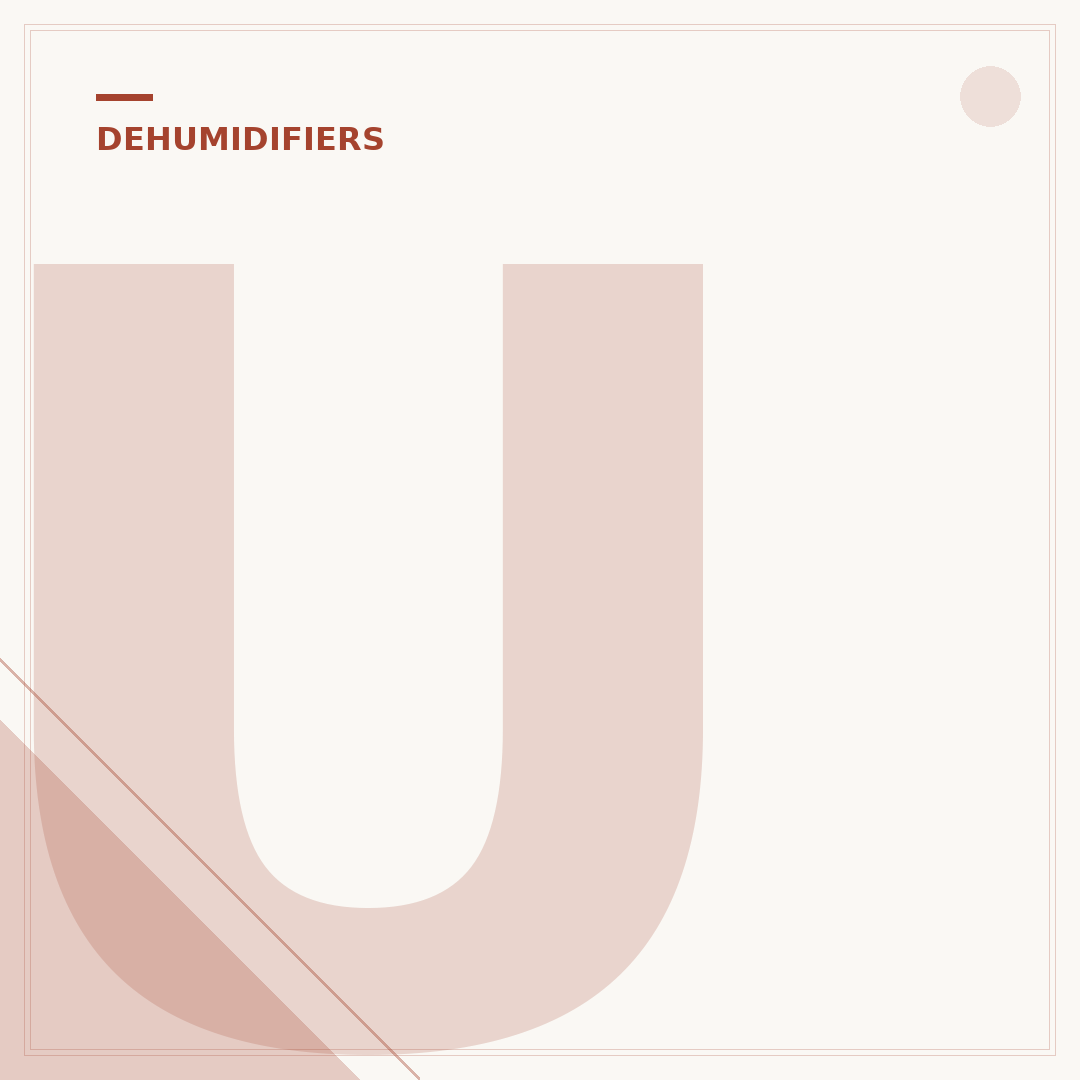 Unibond Dehumidifier: Your Affordable Moisture Solution
