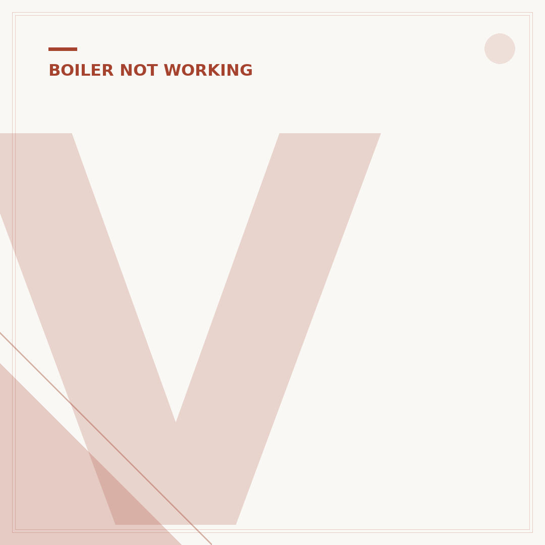 Vaillant Boiler Fault Reset Button