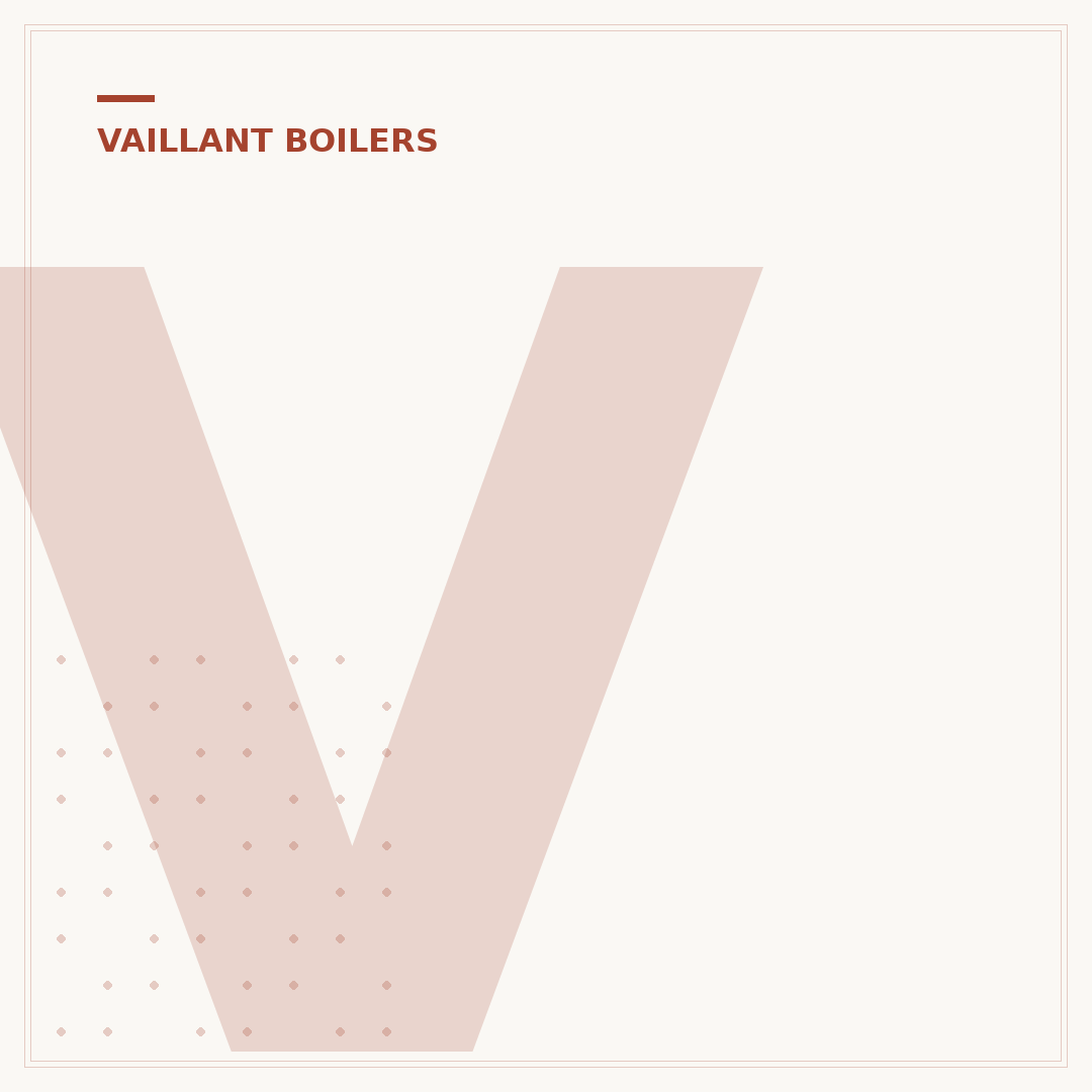 Vaillant Ecotec Plus User Manual: What You Need