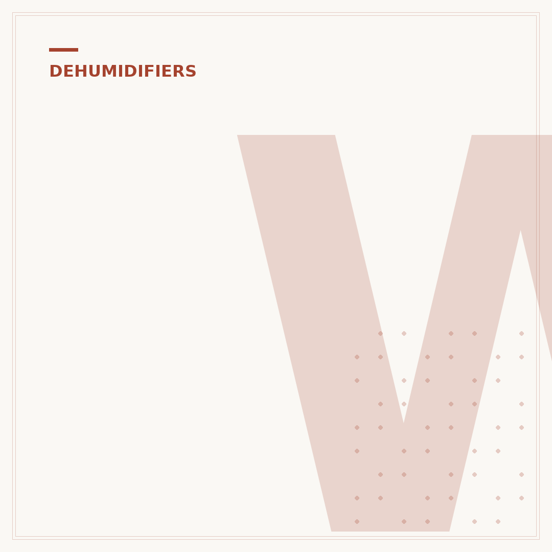 Wessex Dehumidifier: Tackle Damp Affordably