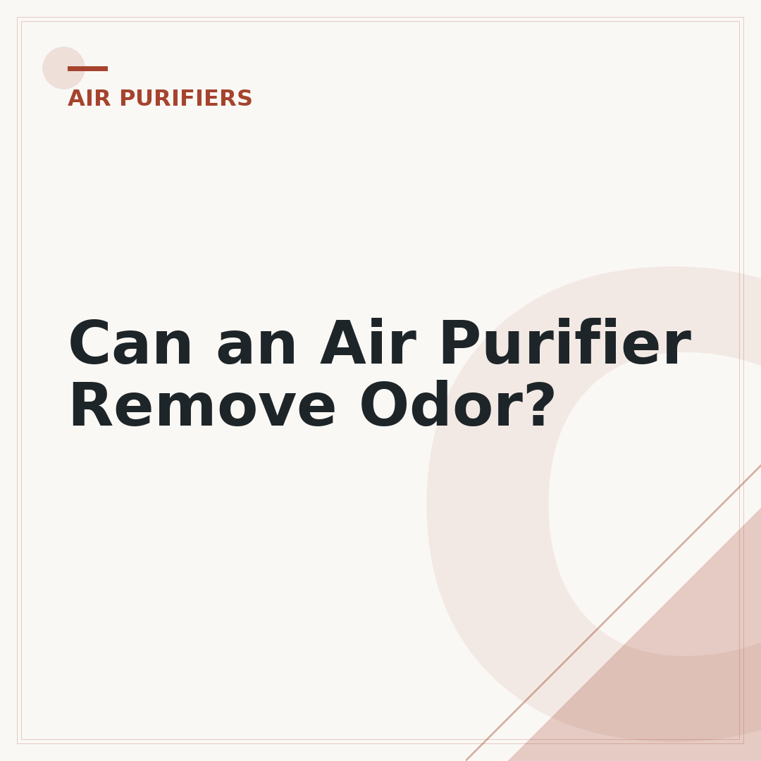 Can an Air Purifier Remove Odor?