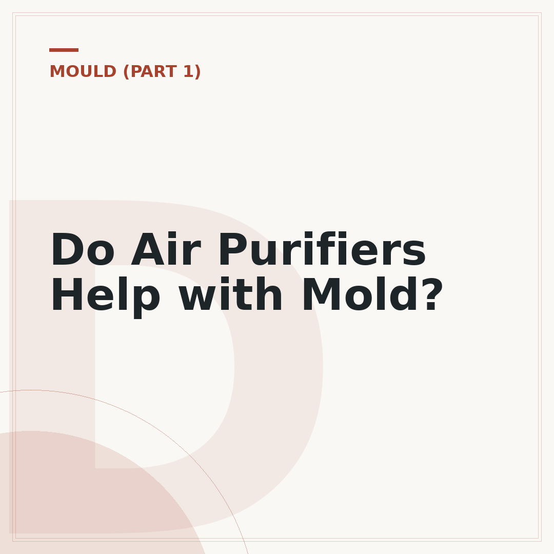 Do Air Purifiers Help with Mold?