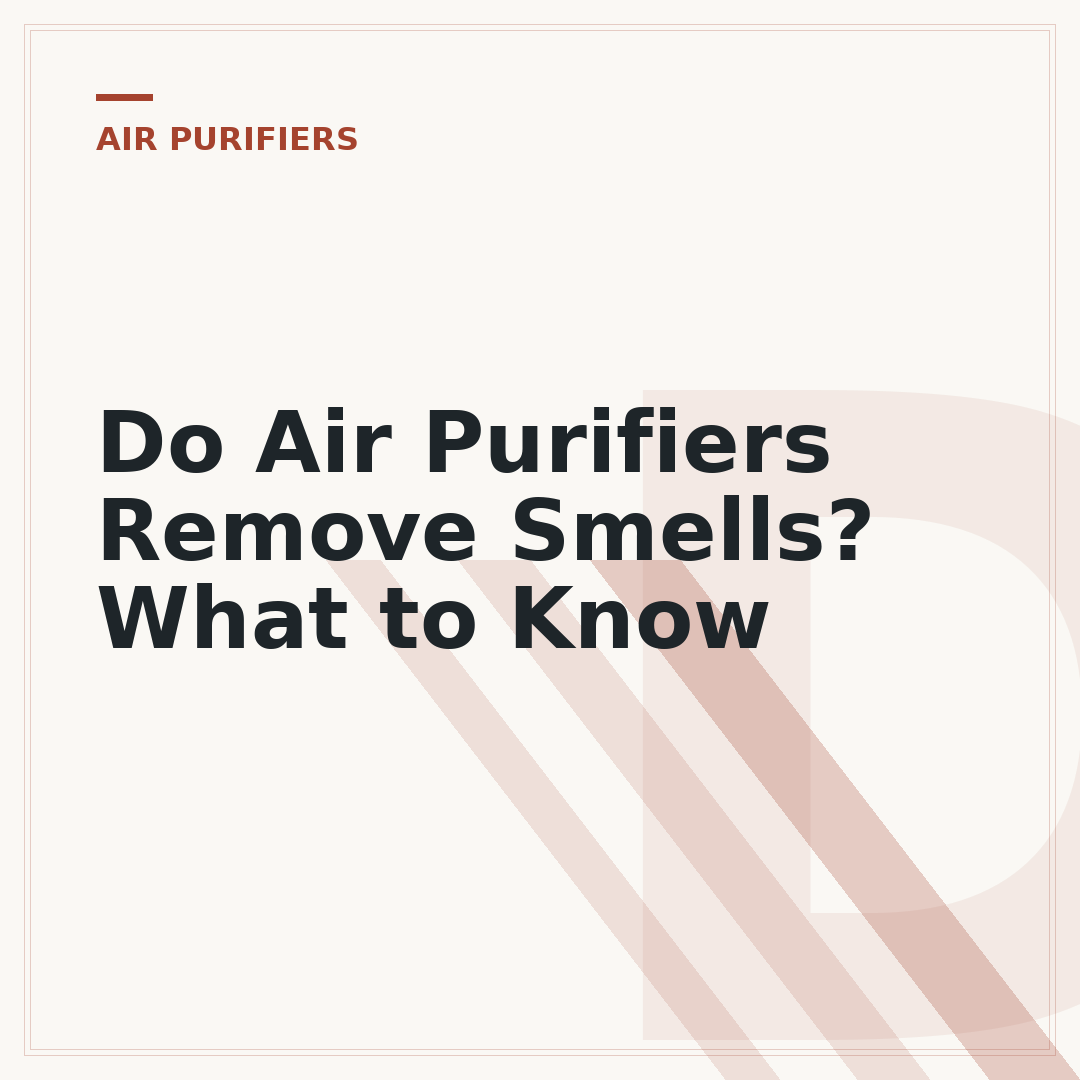 Do Air Purifiers Remove Smells? What to Know