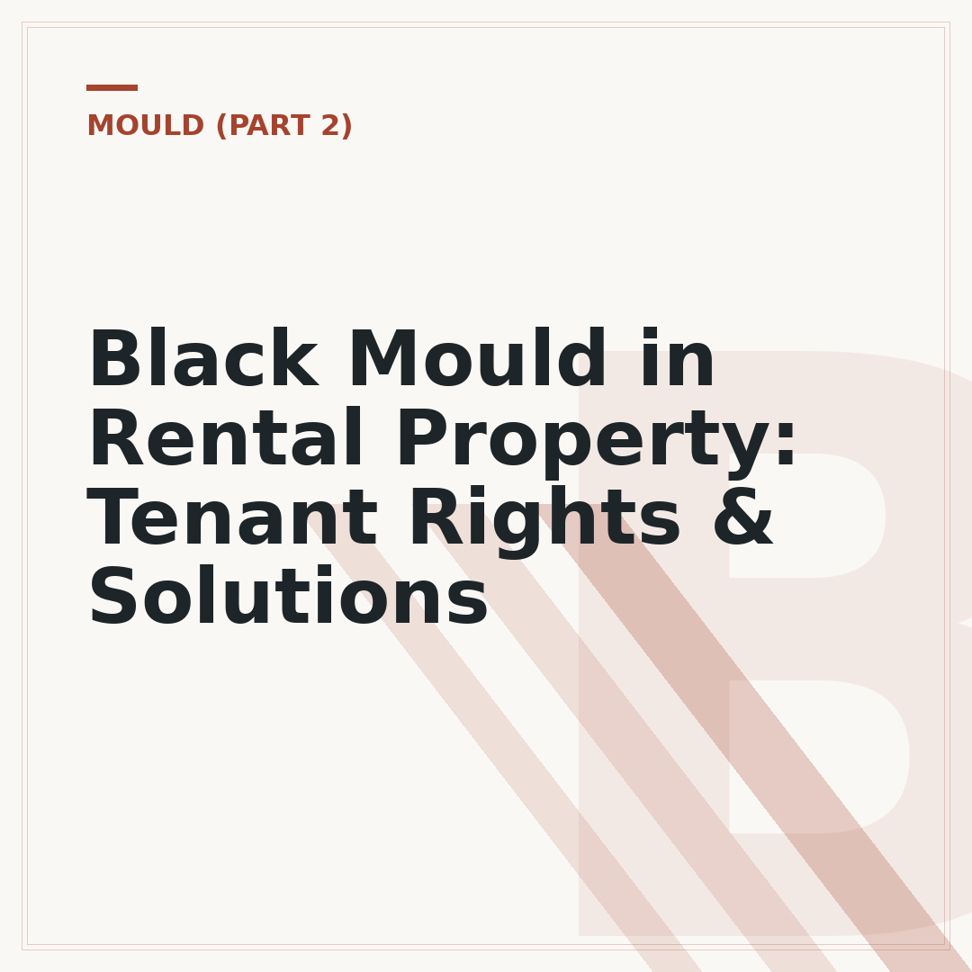 Black Mould in Rental Property: Tenant Rights & Solutions