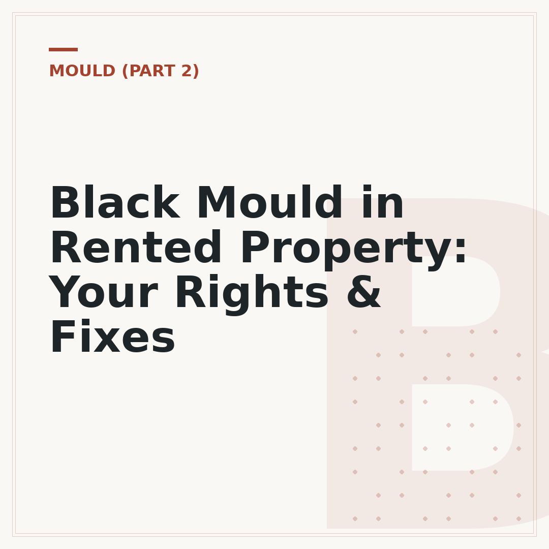 Black Mould in Rented Property: Your Rights & Fixes