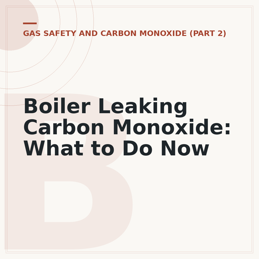 Boiler Leaking Carbon Monoxide: What to Do Now