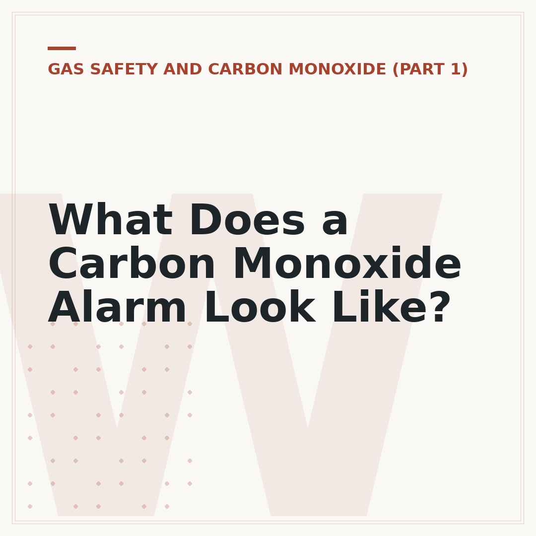 What Does a Carbon Monoxide Alarm Look Like?