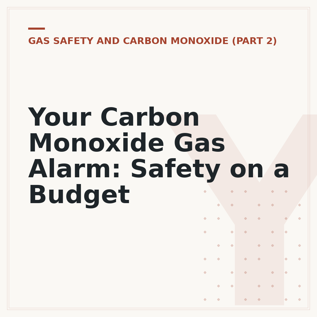 Your Carbon Monoxide Gas Alarm: Safety on a Budget