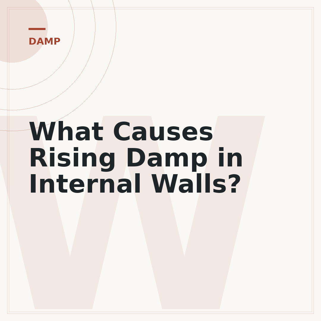 What Causes Rising Damp in Internal Walls?