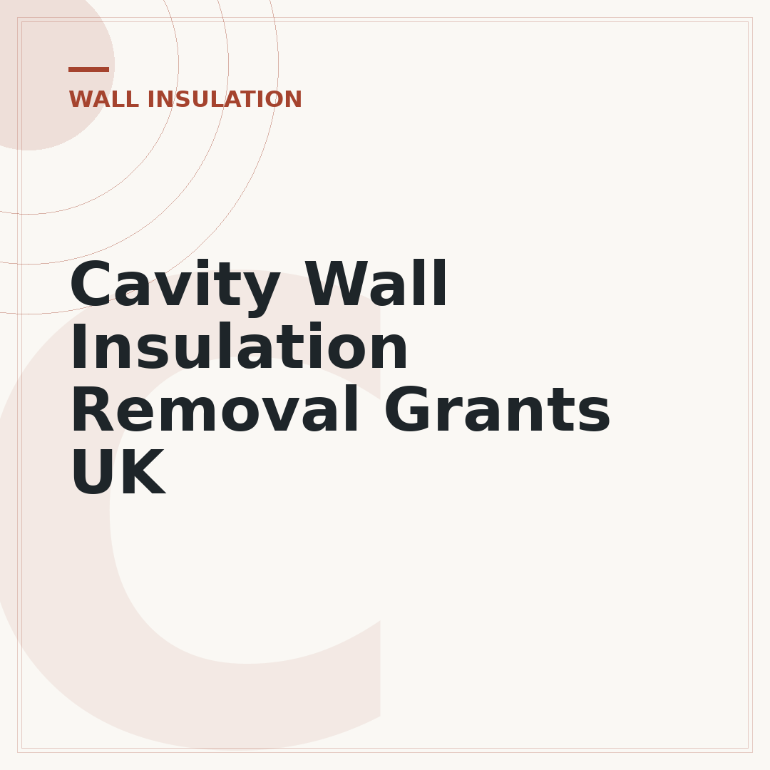 Cavity Wall Insulation Removal Grants UK