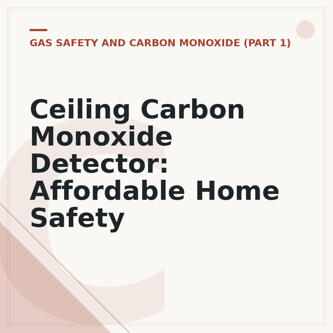 Ceiling Carbon Monoxide Detector: Affordable Home Safety
