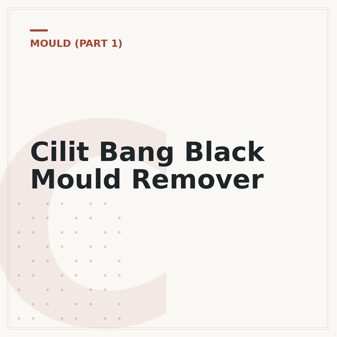 Cilit Bang Black Mould Remover