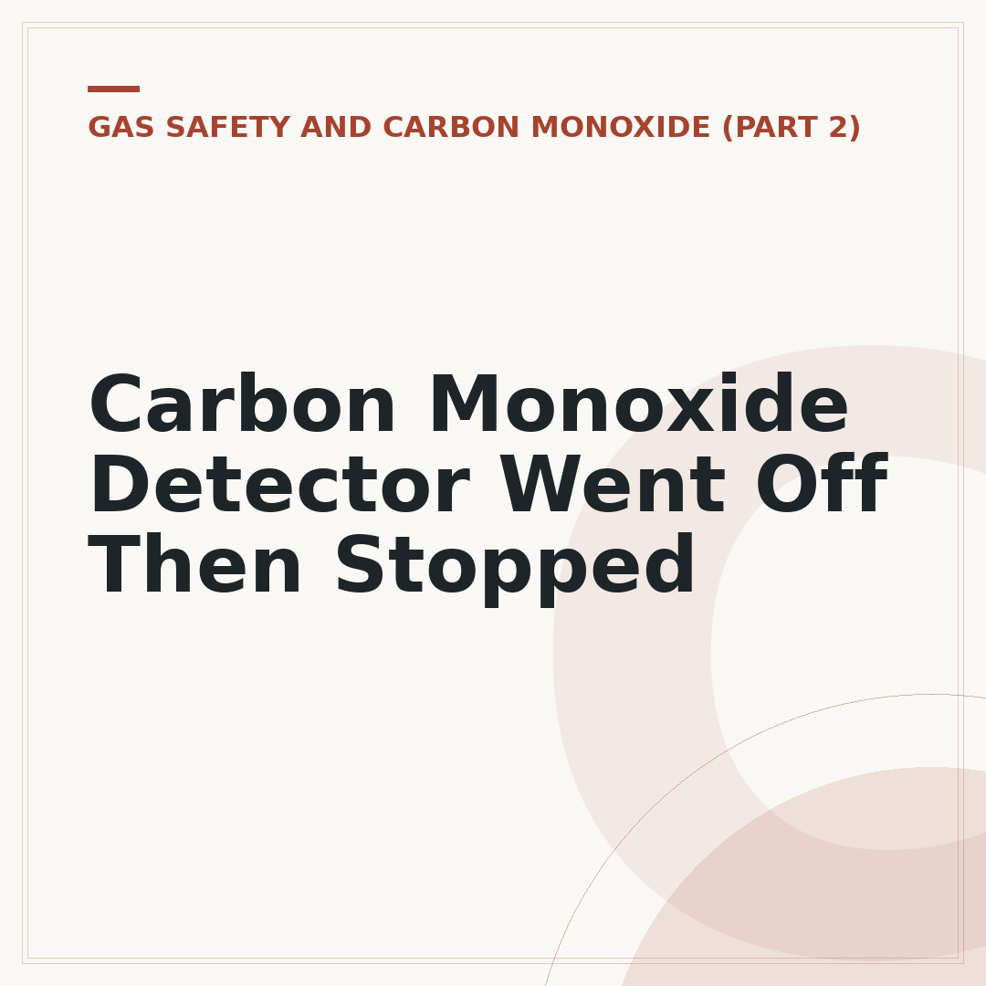 Carbon Monoxide Detector Went Off Then Stopped