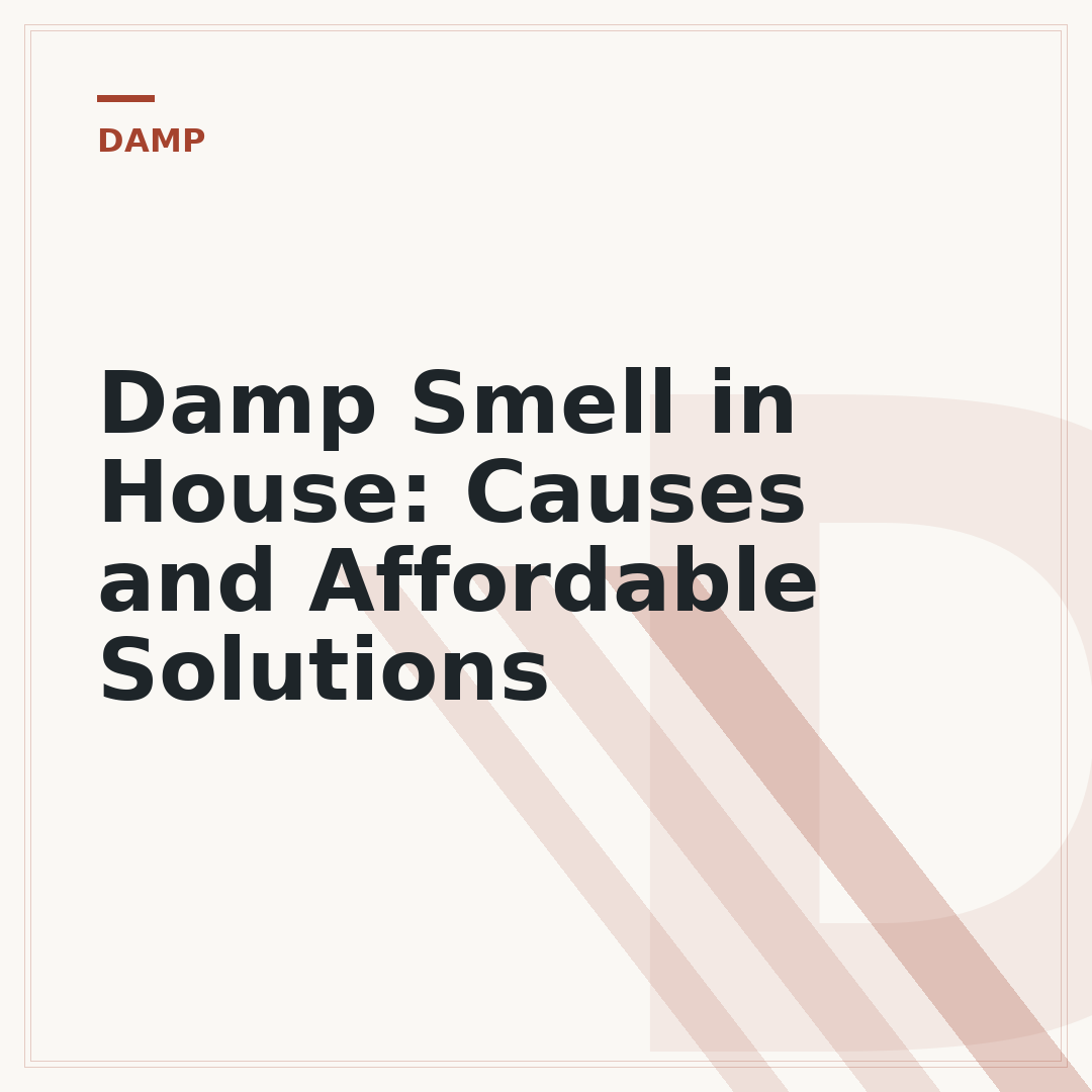 Damp Smell in House: Causes and Affordable Solutions
