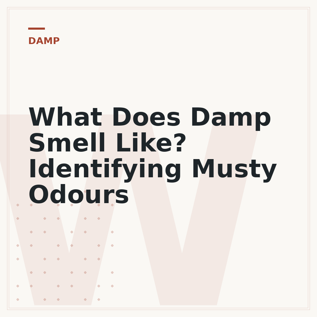 What Does Damp Smell Like? Identifying Musty Odours