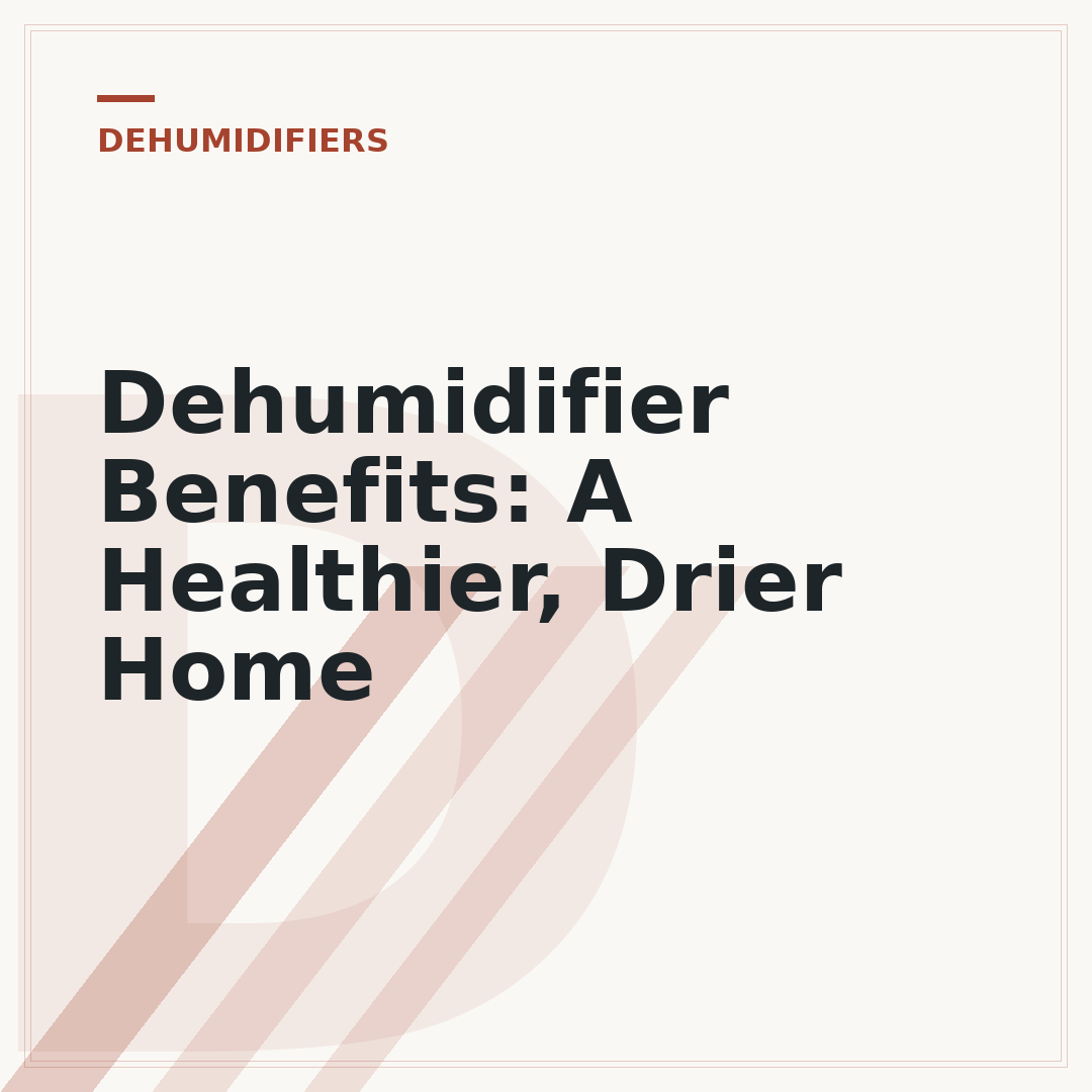 Dehumidifier Benefits: A Healthier, Drier Home