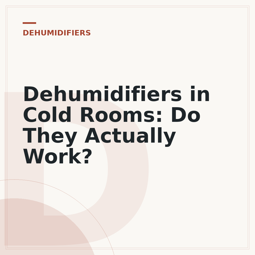 Dehumidifiers in Cold Rooms: Do They Actually Work?