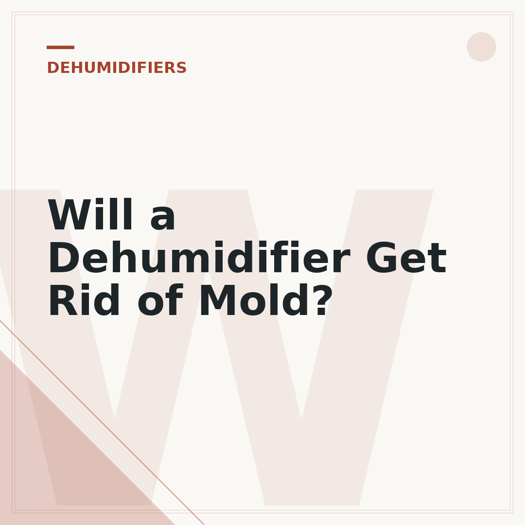 Will a Dehumidifier Get Rid of Mold?