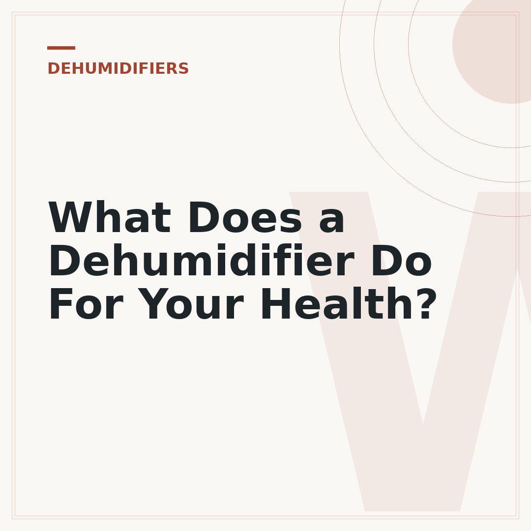 What Does a Dehumidifier Do For Your Health?