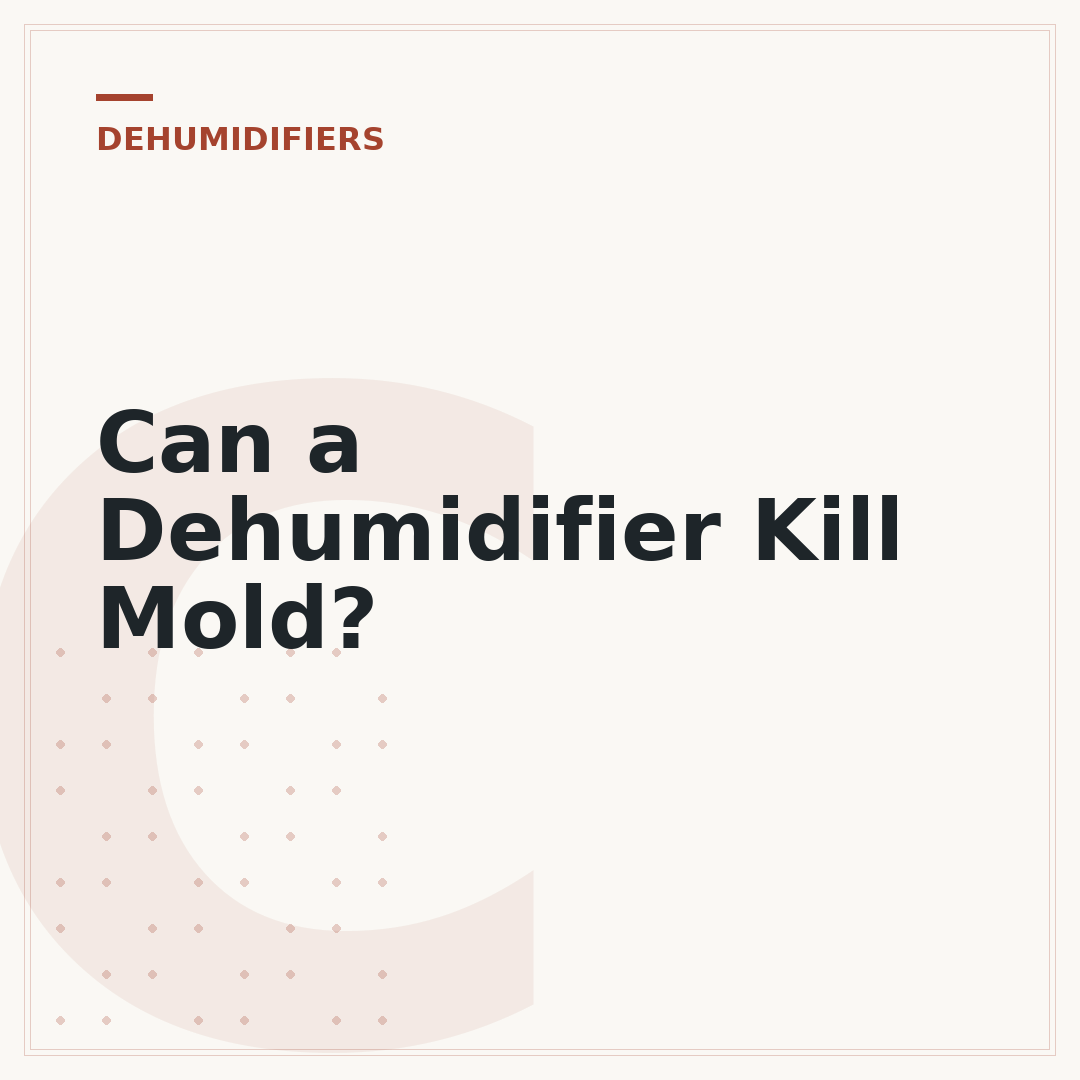 Can a Dehumidifier Kill Mold?
