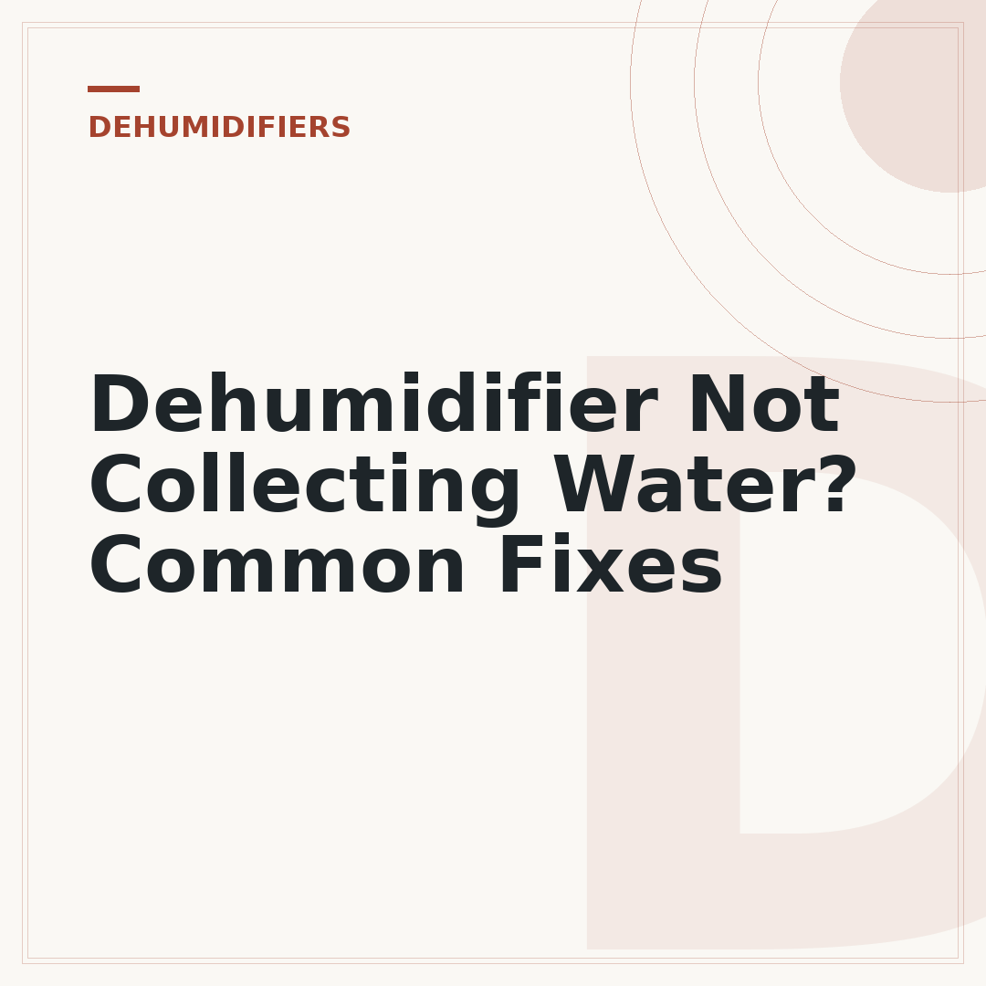 Dehumidifier Not Collecting Water? Common Fixes