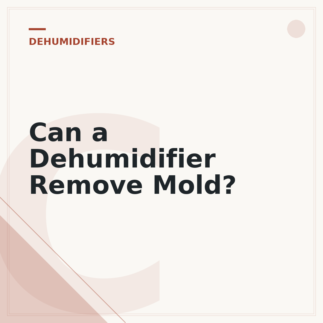 Can a Dehumidifier Remove Mold?