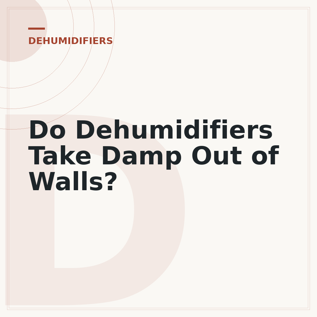 Do Dehumidifiers Take Damp Out of Walls?