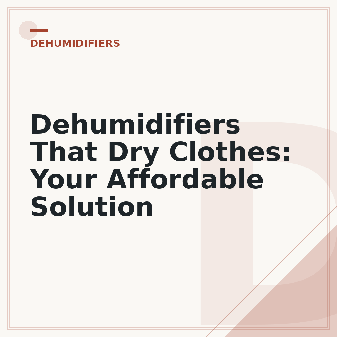 Dehumidifiers That Dry Clothes: Your Affordable Solution