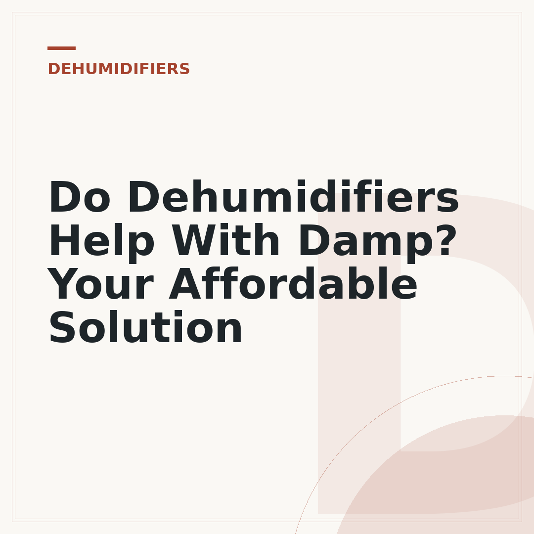 Do Dehumidifiers Help With Damp? Your Affordable Solution