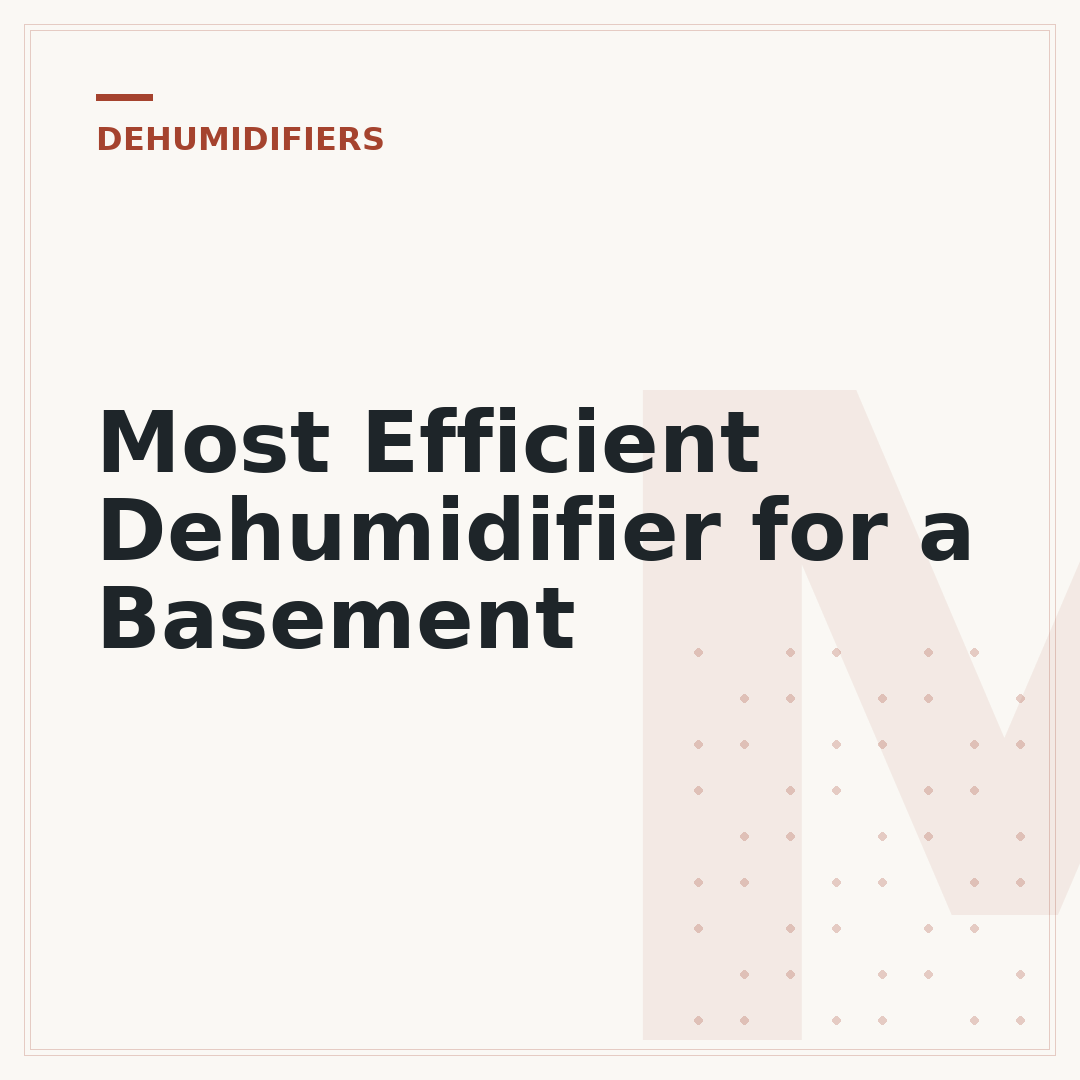 Most Efficient Dehumidifier for a Basement